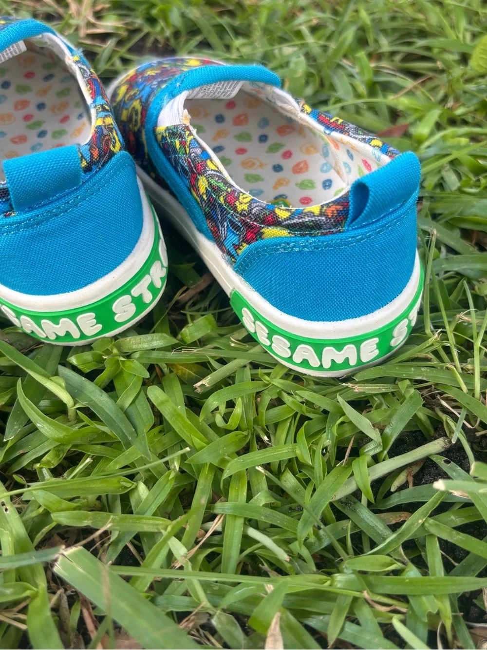 Kids Slip-On Canvas Shoes with Colorful Character Print - Blue Trim Sesame  6